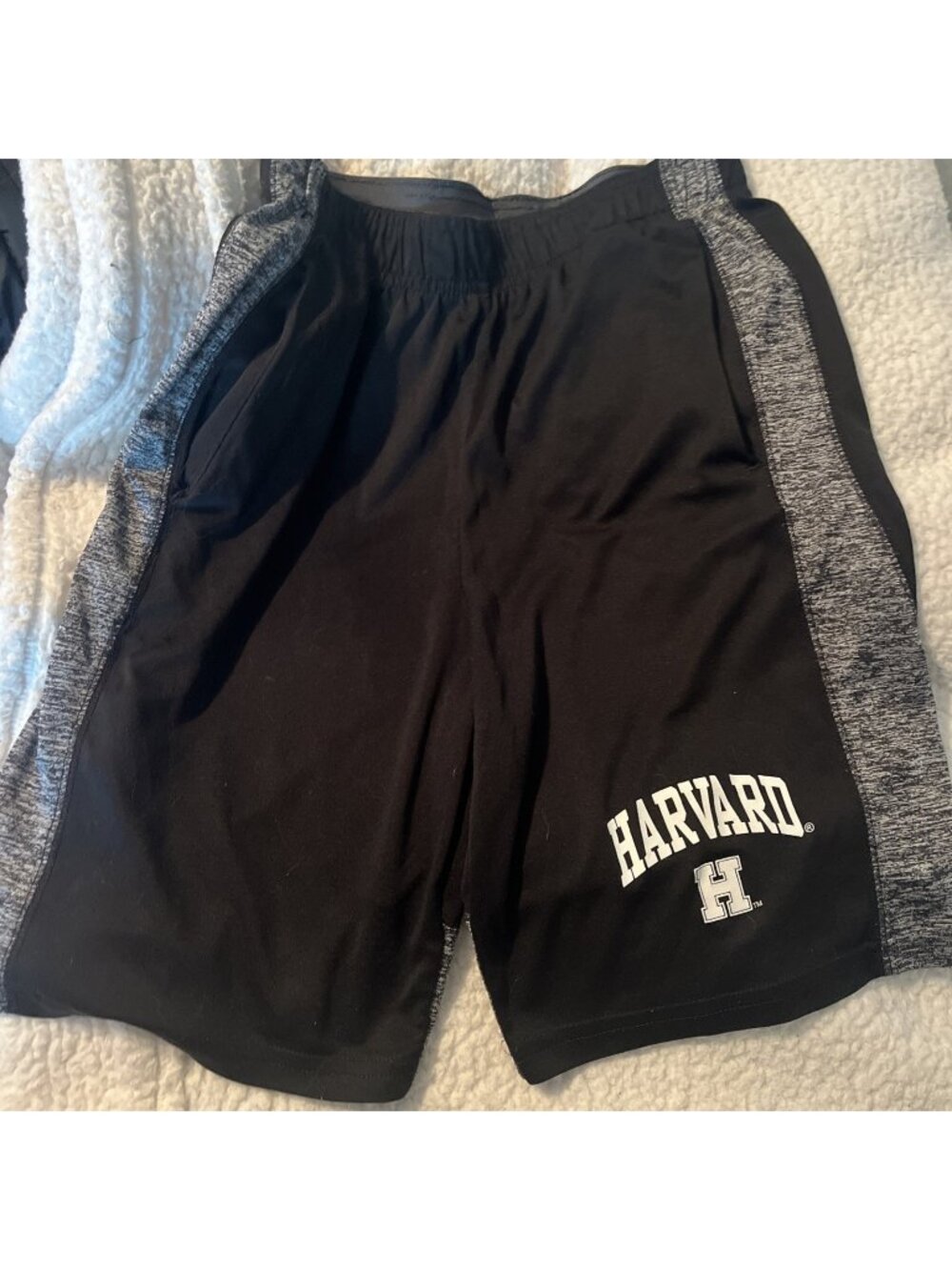 Holloway Harvard Men’s Black Small Athletic Shorts Elastic Waist